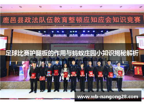 足球比赛护腿板的作用与蚂蚁庄园小知识揭秘解析